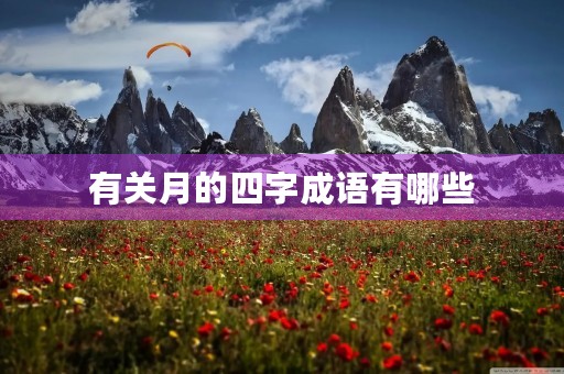 有关月的四字成语有哪些