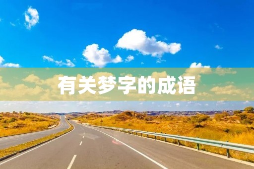 有关梦字的成语