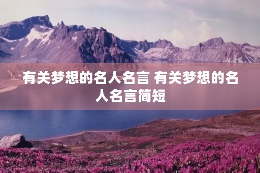 有关梦想的名人名言 有关梦想的名人名言简短 有关梦想的名人名言 有关梦想的名人名言简短