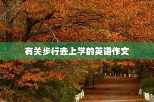 有关步行去上学的英语作文 有关步行去上学的英语作文