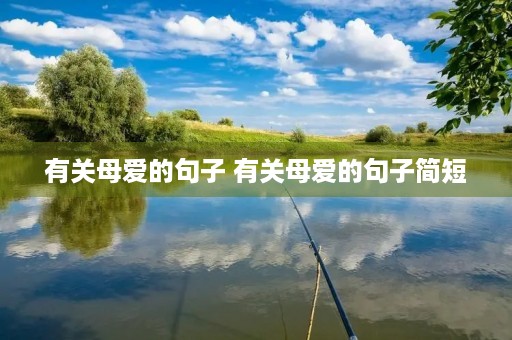 有关母爱的句子 有关母爱的句子简短 有关母爱的句子 有关母爱的句子简短