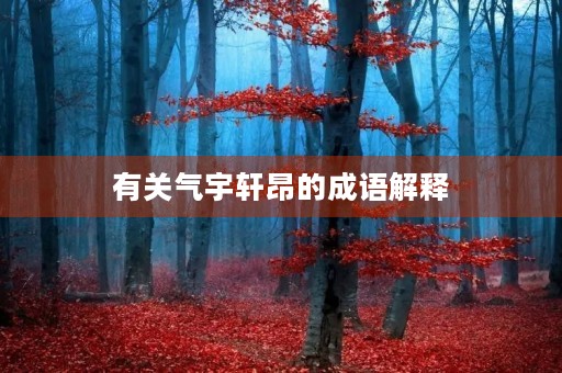 有关气宇轩昂的成语解释