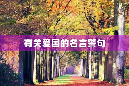 有关爱国的名言警句，有关爱国的名言警句有哪些