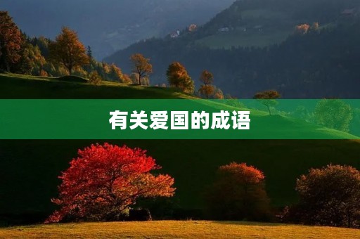 有关爱国的成语 有关爱国的成语