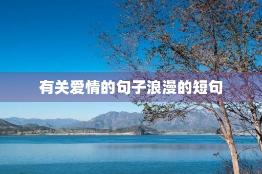 有关爱情的句子浪漫的短句，有关爱情的句子浪漫的短句名家