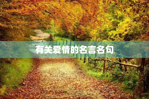 有关爱情的名言名句(有关爱情的名言名句大全) 有关爱情的名言名句(有关爱情的名言名句大全)