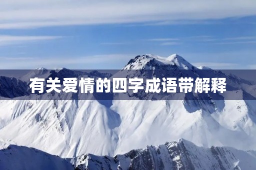 有关爱情的四字成语带解释