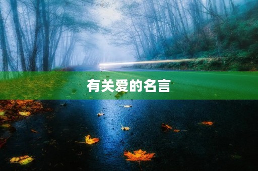 有关爱的名言(爱的金句名言短句) 有关爱的名言(爱的金句名言短句)