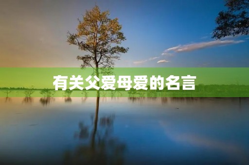 有关父爱母爱的名言，有关父爱母爱的名言俗语或诗句