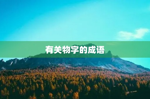 有关物字的成语