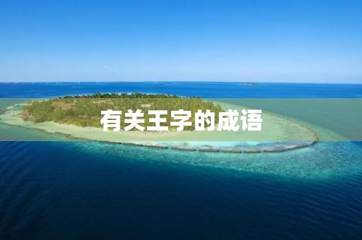 有关王字的成语