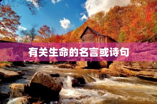有关生命的名言或诗句,有关生命的名言或诗句有哪些 有关生命的名言或诗句,有关生命的名言或诗句有哪些