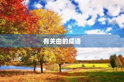 有关由的成语