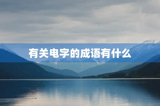 有关电字的成语有什么