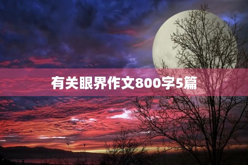 有关眼界作文800字5篇
