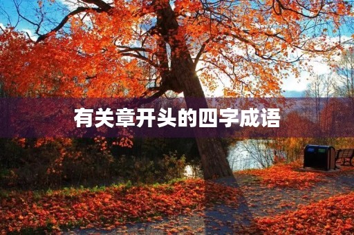 有关章开头的四字成语 有关章开头的四字成语