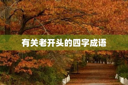有关老开头的四字成语