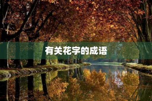 有关花字的成语