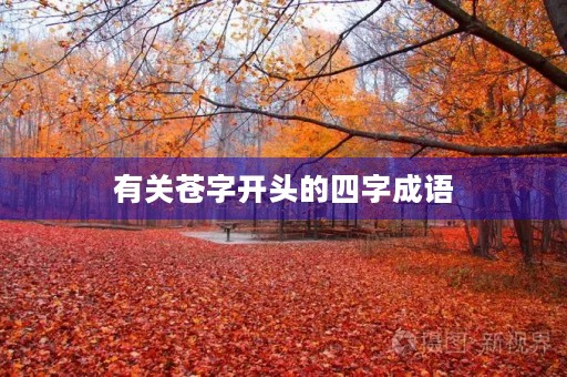 有关苍字开头的四字成语