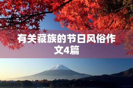 有关藏族的节日风俗作文4篇