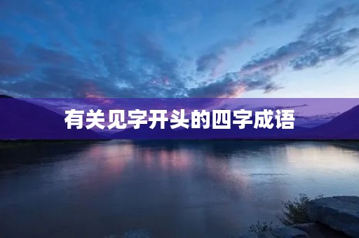 有关见字开头的四字成语