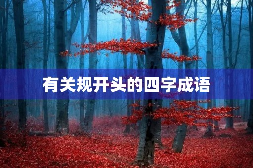 有关规开头的四字成语