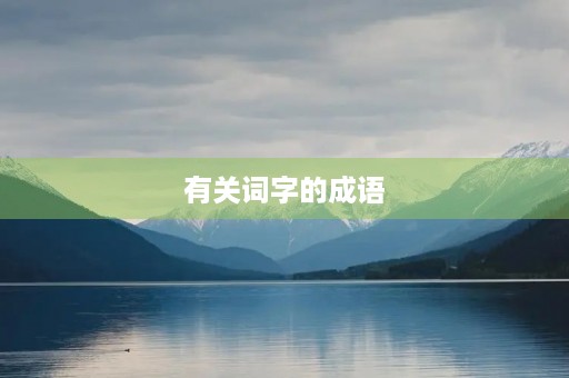 有关词字的成语 有关词字的成语