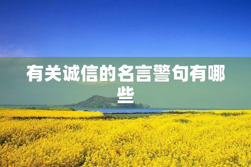 有关诚信的名言警句有哪些(有关诚信的名言警句有哪些名言警句)