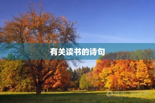 有关读书的诗句,有关读书的诗句或名言 有关读书的诗句,有关读书的诗句或名言