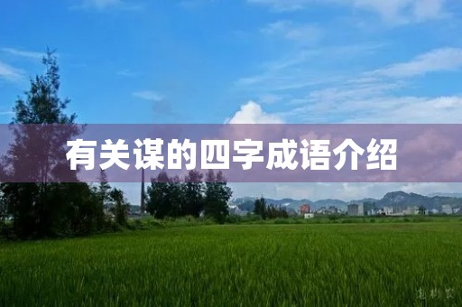有关谋的四字成语介绍