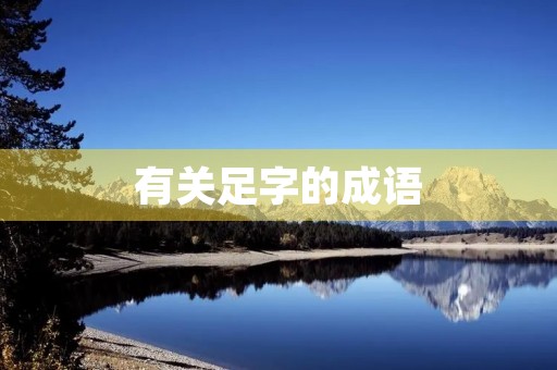 有关足字的成语