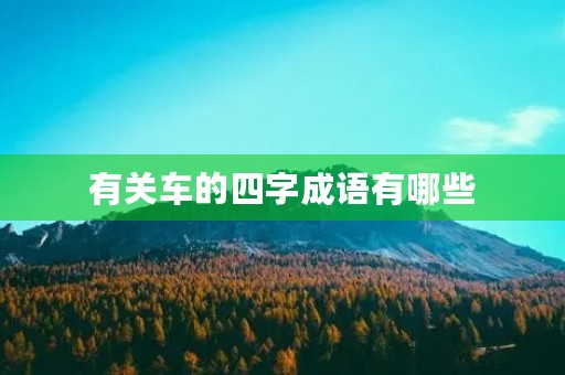 有关车的四字成语有哪些