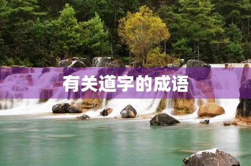 有关道字的成语