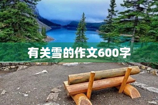 有关雪的作文600字 有关雪的作文600字