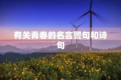 有关青春的名言警句和诗句(青春励志高燃热血句子)