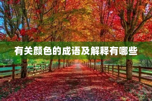 有关颜色的成语及解释有哪些