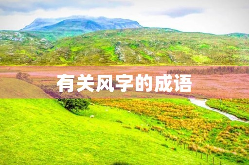 有关风字的成语