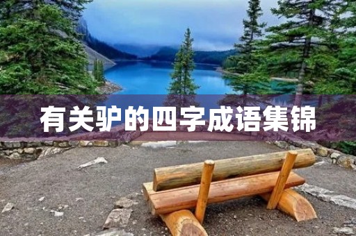 有关驴的四字成语集锦 有关驴的四字成语集锦