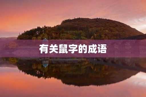 有关鼠字的成语