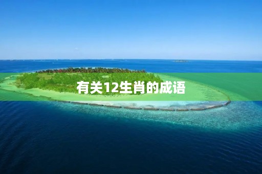有关12生肖的成语