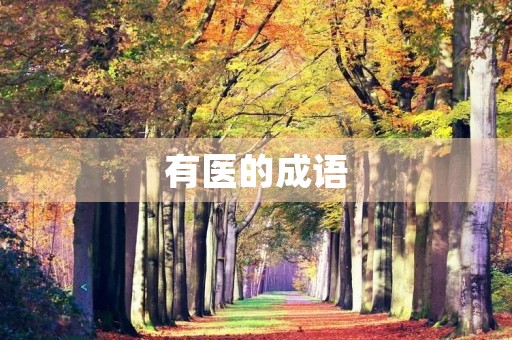 有医的成语 有医的成语