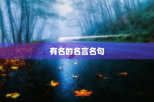有名的名言名句(有名的名言名句和古诗)