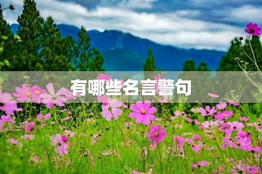 有哪些名言警句,有哪些名言警句? 有作者 有哪些名言警句,有哪些名言警句? 有作者