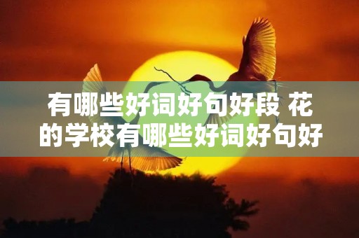 有哪些好词好句好段 花的学校有哪些好词好句好段 有哪些好词好句好段 花的学校有哪些好词好句好段