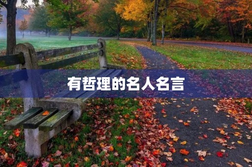 有哲理的名人名言，有哲理的名人名言100句
