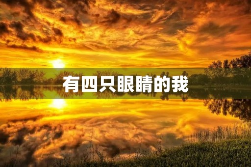 有四只眼睛的我 有四只眼睛的我