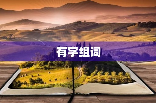 有字组词(有组词)