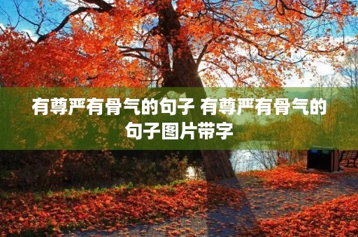 有尊严有骨气的句子 有尊严有骨气的句子图片带字 有尊严有骨气的句子 有尊严有骨气的句子图片带字