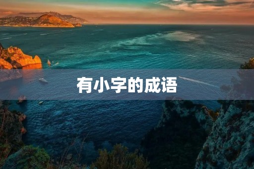 有小字的成语
