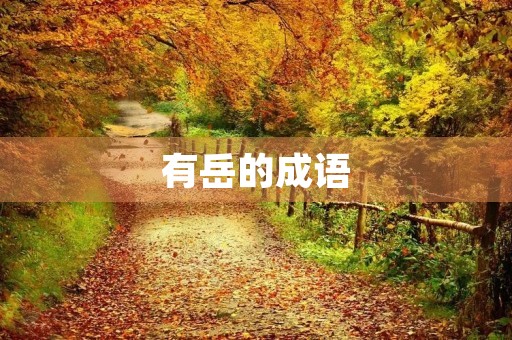 有岳的成语